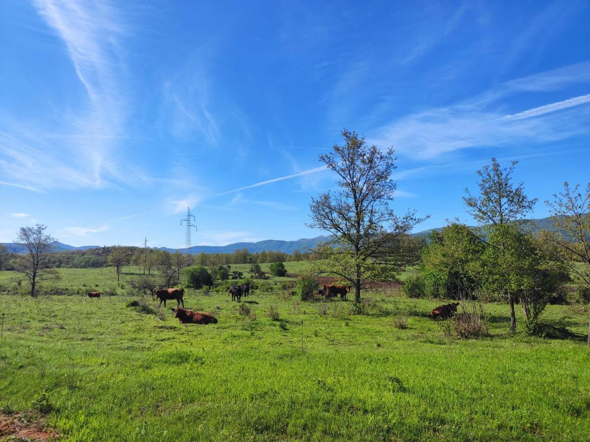 Velebit Lodge Lovinac  Екстер'єр фото