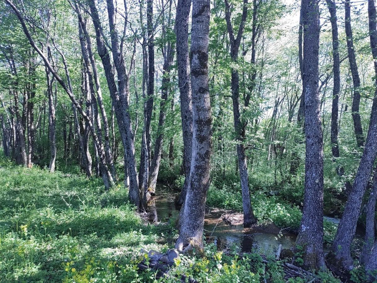 Velebit Lodge Lovinac  Екстер'єр фото